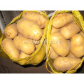 venta de papas frescas shandong